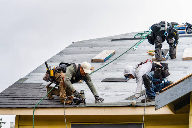 Professional Gutter Installation technician working in Vermont, IL